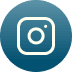 instagram button